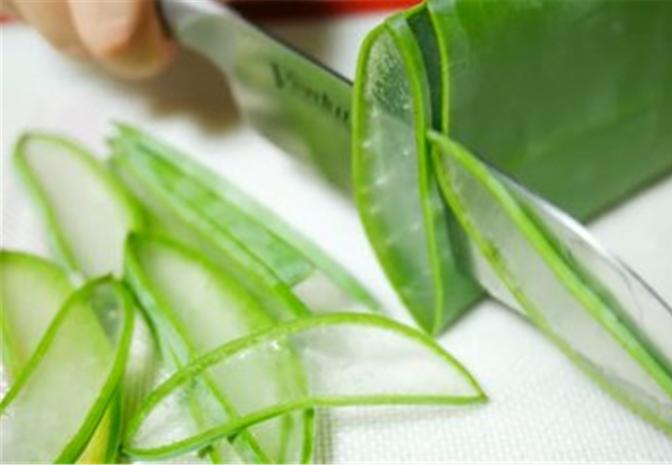 芦荟能防癌抗癌还是“灵丹妙药”？实为商家夸大其词