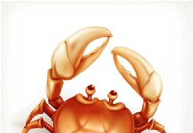 有关螃蟹的流言，小伙伴你们了解多少