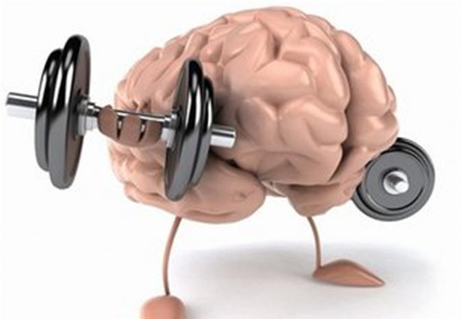 智商能“吃出来”？补脑食物真的靠谱吗？