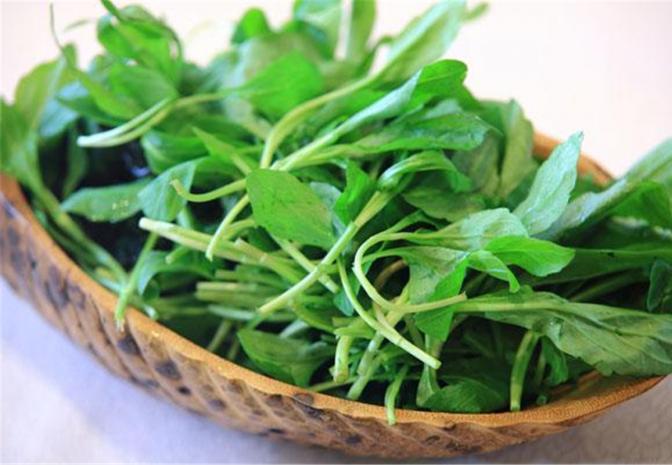 春夏之交关于野菜的食用提示