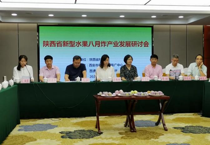 陕西省新型水果八月炸（瓜）产业发展研讨会顺利召开