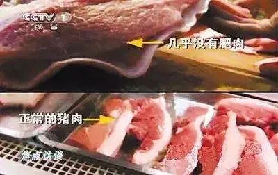 “瘦肉精”到底是啥？人吃了会有什么影响